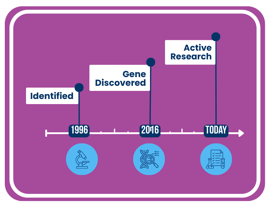 Timeline Graphic