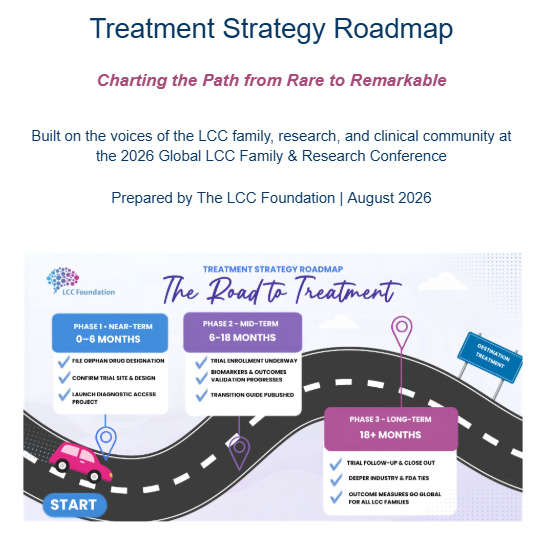 Treatment Strategy Roadmap